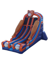 Batter Up Dual Lane Slide